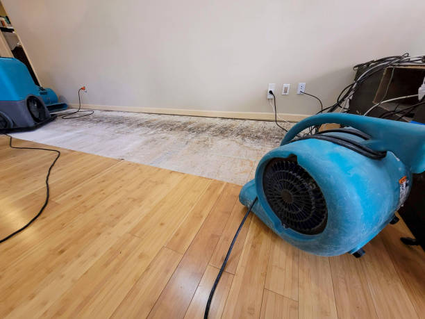 Professional Basement Flood Cleanup technician working in Milan, IL